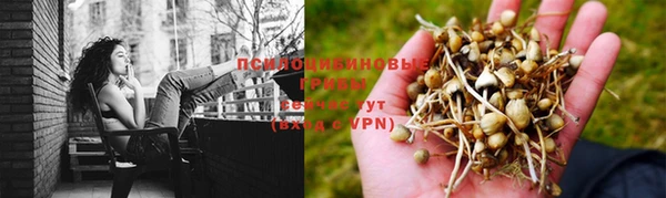 дурь Абинск